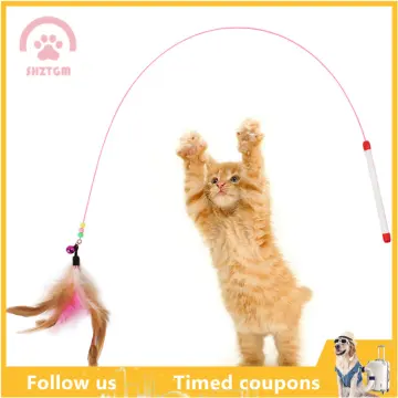 Cat Teaser Wands, Retractable Fishing Pole Wand Cat Teaser Stick