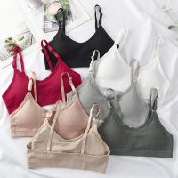 Tube Top Comfort Bras For Women Seamless Underwear Female Lingerie Small Chest Gathered Bra Wireless Intimates Removable Pads