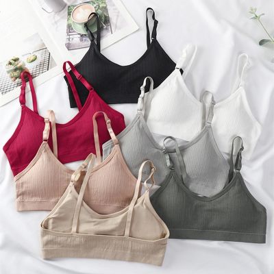 [ใหม่] Tube Top Comfort Bras สำหรับผู้หญิงชุดชั้นในไร้รอยต่อหญิงชุดชั้นในหน้าอกเล็กรวบรวม Bra ไร้สาย Intimates แผ่นที่ถอดออกได้