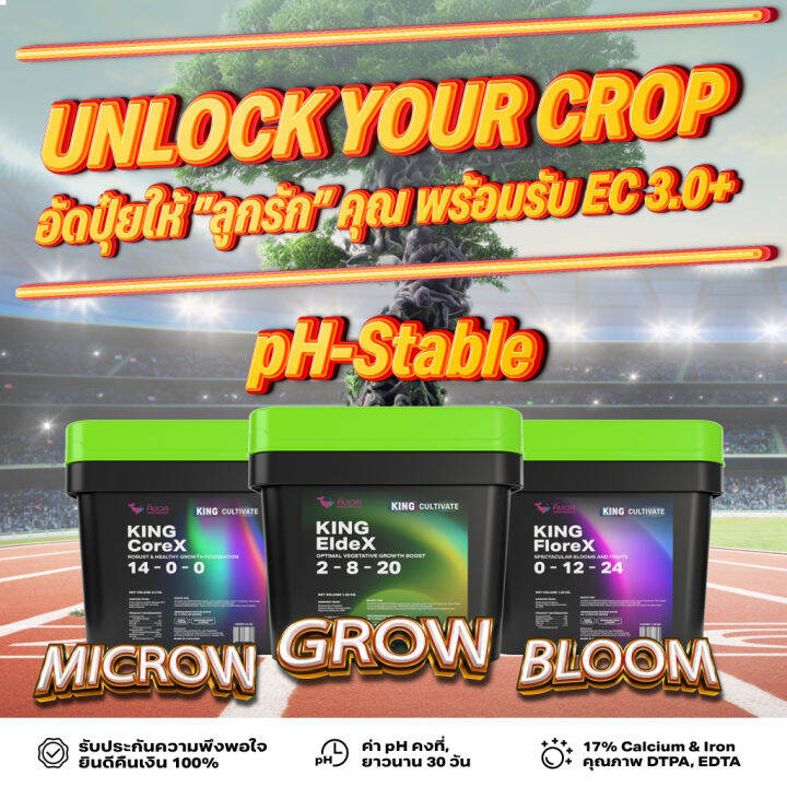 สินค้าพร้อมจัดส่ง-เซ็ทปุ๋ยหลัก-micro-grow-bloom-ปุ๋ยปลูกต้นไม้-ได้ทุกชนิด-การันตีโตเร็ว-ระเบิดยอด-ต้นแข็งแรง-king-whale-สินค้าใหม่-จัดส่งฟรีมีบริการเก็บเงินปลายทาง