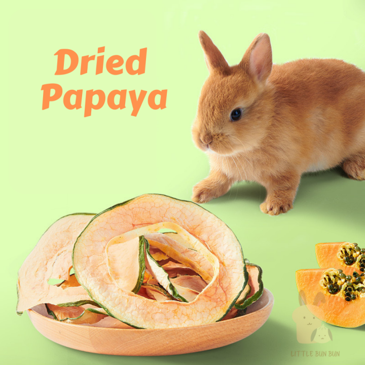 Papaya guinea clearance pig