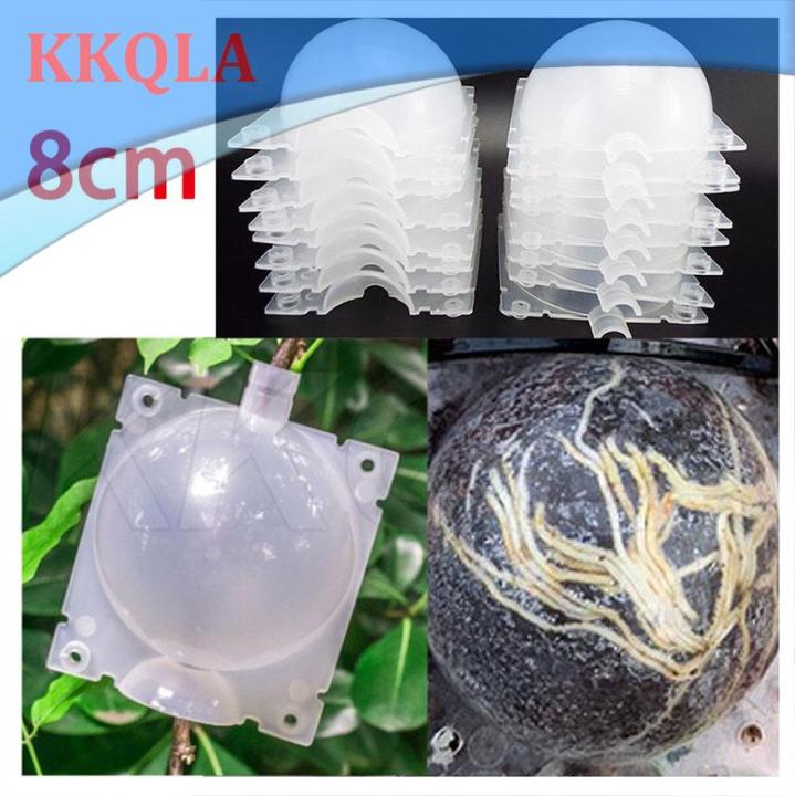 qkkqla-5pcs-8cm-fruit-plant-tree-rooting-ball-root-box-plastic-case-transparent-grafting-rooter-growing-high-pressure-breeding