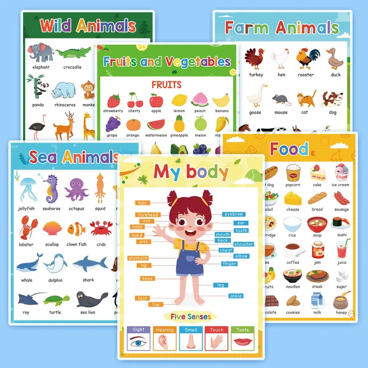 6 Pcs/set A4 Fruits Food Body Parts Animals Cognition Laminated Big Cards  for Kids Early