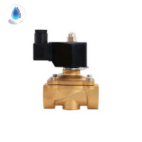 SafetyDrink Solenoid valve ทองเหลือง 1  UNIPURE AC220V (DFD25)