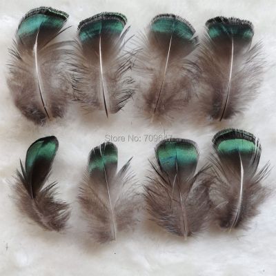 100Pcs/Lot 3-5CM Loose Small Amherst Pheasant Plumage Feathers for Jewelry MakingCostumesPlumas Decorativas