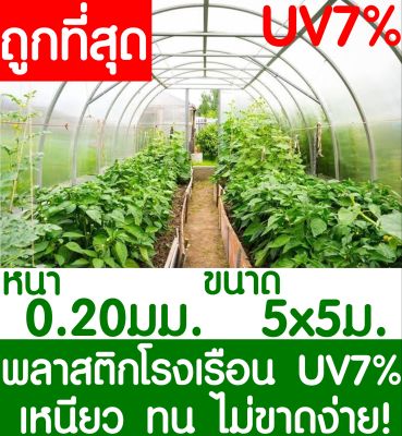 พลาสติกคลุมโรงเรือน สีใส ขนาด 5x5เมตร หนา 200ไมครอน UV7% โรงเรือน greenhouse โรงเรือนเพาะชำ พลาสติกโรงเรือน โรงเรือนปลูกผัก ปลูกผัก ออแกนิค