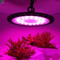 [สินค้าใหม่]220V Full Spectrum LED Grow Light UFO100W/150W ไฟปลุกต้นไม้ ไฟช่วยต้นไม้ตัวเร็ว