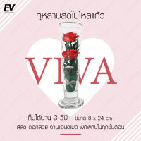 กุหลาบในโหลแก้ว สีแดง แก้ววีว่า กุหลาบแดง 2 ดอก Preserved Rose ดอกไม้รับปริญญา ของขวัญรับปริญญา ของขวัญครบรอบ กุหลาบอมตะ??