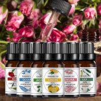 【พร้อม】น้ำมันหอมระเหย10Ml ซึมผ่านอารมณ์สงบไม่ระคายเคืองน้ำที่ละลายน้ำได้กุหลาบ Diffuser น้ำมันสำหรับในร่ม