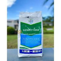 New - แอนทราโคล-โพรพิเนบ 70% WP- ขนาดบรรจุ 1 กิโลกรัม