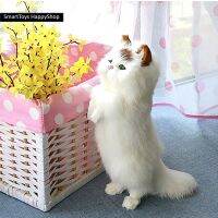 ตุ๊กตาแมวขนนุ่มเสมือนจริงยืนสองขาสุดน่ารัก Beautiful Cat