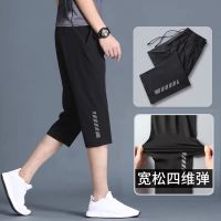 CODwuyan8340 Mens Sports Casual Pants Summer Ice Silk Stretch Cropped Shorts Home