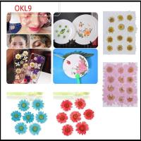 OKL9 12PCS/Bag สีสัน DIY เรซิน กด ศิลปะ การทำเครื่องประดับ เดซี่ดอกไม้ประดิษฐ์