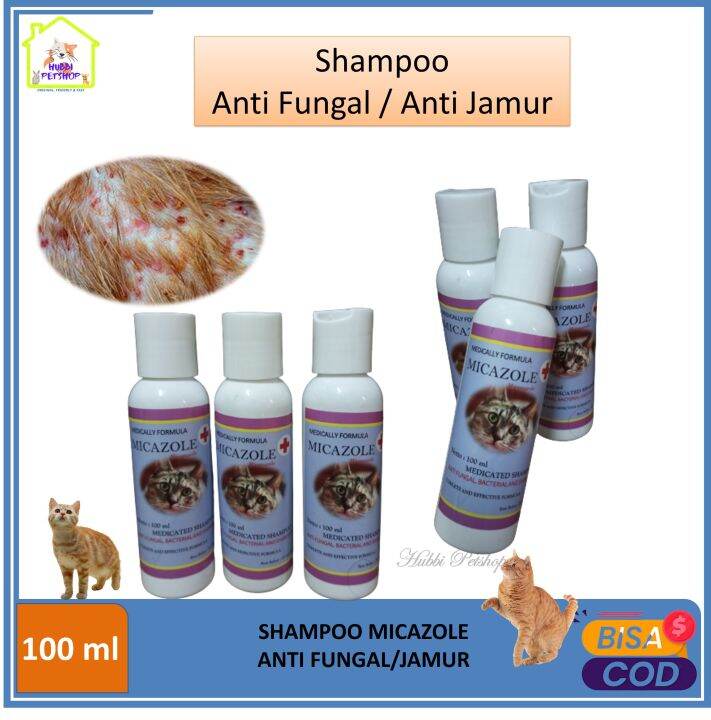 Sampo MICAZOL Shampo Kucing untuk Jamur Obat Jamur Scabies Grooming