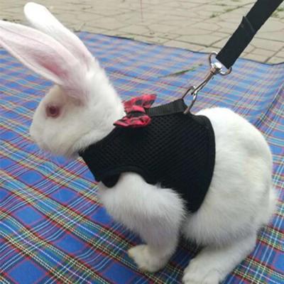 เสื้อกั๊ก แต่งเชือกจูง สีดํา แบบมืออาชีพ สําหรับสัตว์เลี้ยง สุนัข แมว กระต่าย