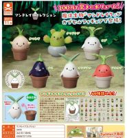 STASTO Gashapon Mandrake ดั้งเดิมมนุษย์ในกระถางของสัตว์วิเศษกาชงของเล่นแคปซูลโมเดลตุ๊กตารูปปั้นของขวัญของสะสม