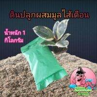 ดินปลูกผสมมูลไส้เดือน สูตรพิเศษ(ไม่ชาร์จน้ำหนักค่าส่ง)