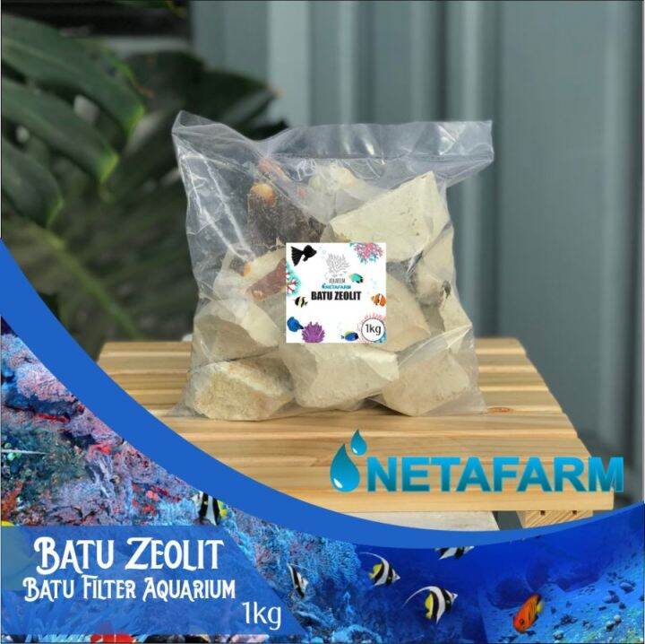 Batu Zeolit Zeolite Media Filter Kolam dan Aquarium Aquascape 1kg