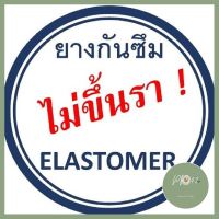 Lustroware เหยือกน้ำ Easy care 1.6 L Made in Japan ใส่น้ำเดือดได้ วางนอนน้ำไม่ซึม พลาสติกเกรดเอ ยางกันซึม ไม่ขึ้นรา ราคาพิเศษ ร้าน PP702