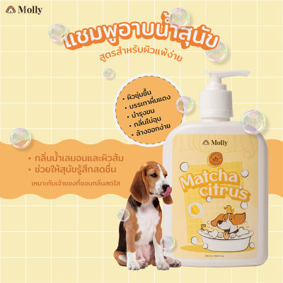 Molly แชมพูสำหรับสุนัขผิวแพ้ง่าย (500ml.) กลิ่น MATCHA CITRUS