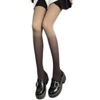 Hot Selling Attractive Women Stockings Charming Gradient Thin Legging Tights Pantyhose For Cosplay Dates