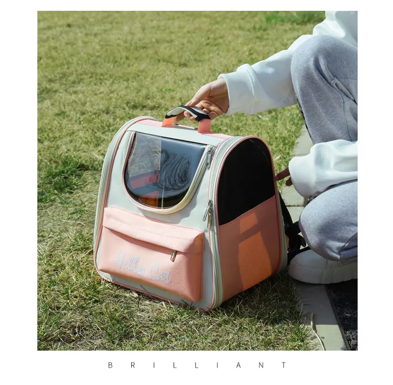 Top 176+ hilike pet travel bag best kidsdream.edu.vn