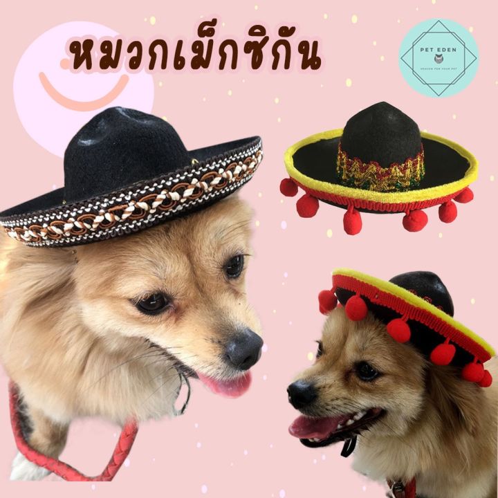 หมวกสัตว์เลี้ยง-หมวกเม็กซิกันสัตว์เลี้ยง-หมวกหมา-หมวกแมว-maxican-pet-hat