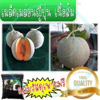 (โปร++) เมล็ดพันธุ์เมล่อน เนื้อส้ม ฟรีวัสดุเพาะเมล็ด ส่วนลด เมล็ดพันธุ์ พันธุ์ข้าว เมล็ดหญ้า เมล็ดข้าวโพด