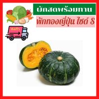 ?ส่งเร็ว ผักสด ผลไม้สด 500g./ 1 kg. ฟักทองสด ฟักทองญี่ปุ่น ฟักทองมินื ไซด์ S Japanese Pumpkin ปลอดสาร สด ใหม่ สะอาด ปลอดภัย