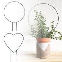 Plant Round Heart Shaped Support Frame Metal DIYGarden Climbing Trellis Flower Vegetables Rattan Stand Plant Holder Garden Tool Bar Wine Tools