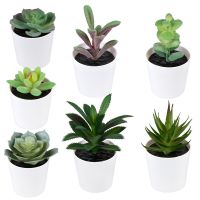 Artificial Plants Bonsai Succulents Pot Fake Plant Flowers Potted Ornaments for Home Room Table Decoration Hotel Garden Decor