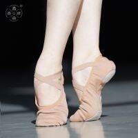 【Love ballet】ผ้ายืดหยุ่นเต็มไม่มีการปฏิบัติด้านล่างนุ่มผู้ใหญ่ศิลปะการสอบนาฬิกาแสดงคลาสสิกที่ทันสมัยบัลเล่ต์แมว39;S รองเท้าเต้นรำอุ้งเท้า