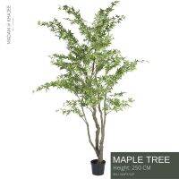 Maple Tree 250CM - ต้นเมเปิ้ลเสมือนจริง สูง 250 ซม. ต้นไม้ประดิษฐ์เกรดพรีเมี่ยม ต้นไม้ปลอมใหญ่ Premium artificial plant for decoration #MapleTree #Madam Khajee