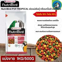 NutriBird P19 Tropical อาหารสำเร็จรูปอัดเม็ดสำหรับนกขนาดใหญ่ (แบ่งขาย 500G / 1KG) นกได้รับสารอาหารครบถ้วน