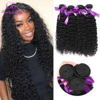 【CW】 Peruvian Kinky Curly Hair Bundles Human Extensions 1/3/4 Pcs Weft Weaves