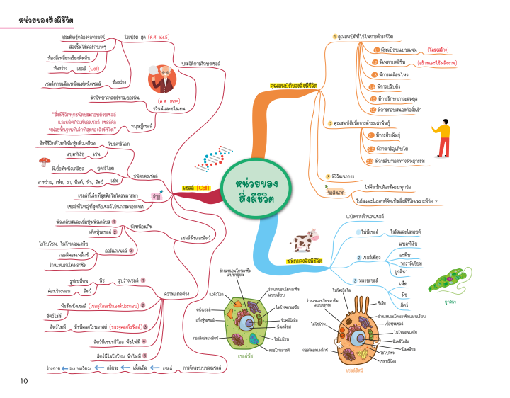 science-map-สรุปเนื้อหาวิทยาศาสตร์-ระดับประถมปลาย