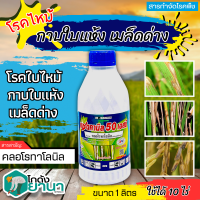 ? แซดคานิล50 (คลอโรทาโลนิล) ขนาด 1ลิตร ป้องกันกำจัดโรคราน้ำค้างในคะน้าที่มีสาเหตุจากเชื้อรา