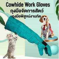 【ส่งฟรี】ถุงมือทำงาน Cowhide การควบคุมสัตว์กัดถุงมือป้องกันการฉีกขาด822