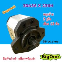 ปั๊มไฮดรอลิค เกียร์ปั๊ม "CAPRONI" 36 cc รุ่น 30A36 X 236H หมุนซ้าย