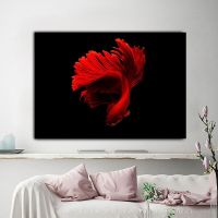 Luyameishop Vibrant Red Betta Fish Canvas Wall Art: โปสเตอร์สัตว์ใต้น้ำสำหรับตกแต่งห้องนั่งเล่น