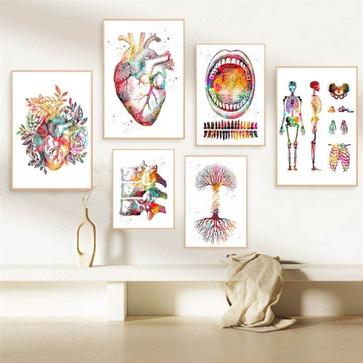 Medical Education Office Picture Posters Canvas Painting Human Anatomy ...