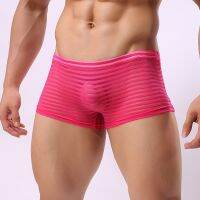 【cw】 Fashion Transparent Boxers MenMesh Sheer StripedSee Through Low Rise Underpants MeshShorts 【hot】