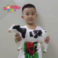 Monkey Toys - โมเดลสัตว์ Holstein Friesian วัวนม แม่ดำ ขนาด 27.00 CM แบบนิ่ม (จากหาดใหญ่)