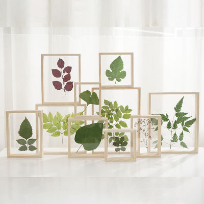 ตัวอย่างพืชไม้กระจกด้านข้างสองชั้นสุดสร้างสรรค์กรอบรูปสีไม้กรอบรูปทึบโปร่งใสกรอบรูป Huilinshen