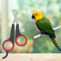 1Pc Bird Dog Cat กรรไกรตัดเล็บโลหะกรรไกรตัดเล็บสัตว์เลี้ยง Claw กรรไกรตัดเล็บสัตว์ขนาดเล็ก Grooming Tool Supplies