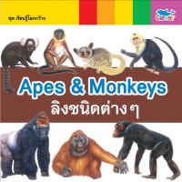 หนังสือ เรียนรู้โลกกว้าง 2 ภาษา (อังกฤษ - ไทย) ตอน Apes &amp; Monkeys ลิงชนิดต่างๆ