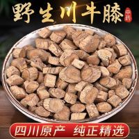 Wild Sichuan Achyranthes Chinese herbal