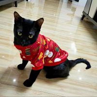 Cartoon Cat Hoodie Sweater Autumn Winter Pet Cat Clothes for Cats Katten Kedi Pullovers Mascota Pet Costume Cat Outfit Clothing