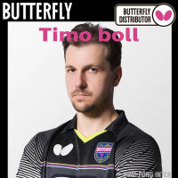 ไม้เปล่า BUTTERFLY ชื่อนักกีฬา ตระกูล TIMO BOLL มี 3 รุ่น