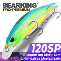 BEARKING รุ่นท็อปเหยื่อตกปลาแบบแข็งตกปลา Depth1-1.8M 120มม. 18กรัม,ปลาซิวคุณภาพระดับมืออาชีพแอคชั่น Minnow